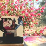 Mind Over Mirrors: Undying Color Release Day + Our First 100 Days. Mind Over Mirrors: Undying Color Release Day + Our First 100 Days.