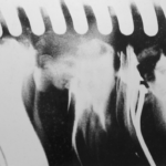 Michael Chapman Celebrates 78th Birthday by Sharing "Truck Song" + His 1960s Photography.