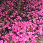 PoB Spring Cleaning Sale: 20% Off All Catalog Items Through March 27.