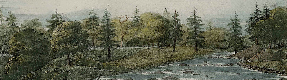 Jake Xerxes Fussell: <em>Jake Xerxes Fussell</em> - Image 3
