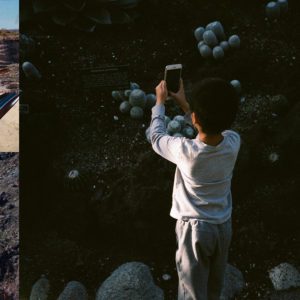 Mega Bog: <em>Life, and Another</em>