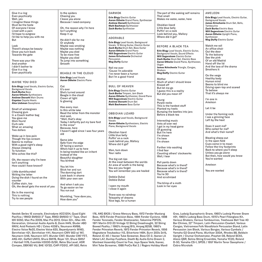Mega Bog: <em>Life, and Another</em> - Image 5
