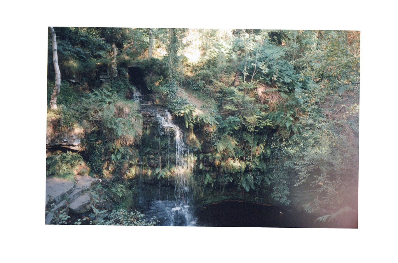 Mega Bog: <em>Life, and Another</em> - Image 14