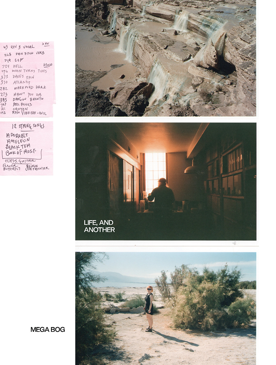 Mega Bog: <em>Life, and Another</em> - Image 10