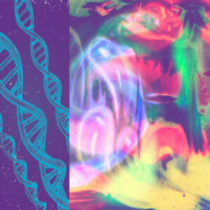 Nap Eyes: <em>Feline Wave Race</em>