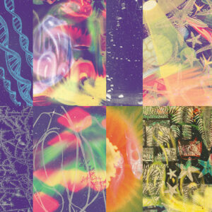 Nap Eyes: <em>The Neon Gate</em>